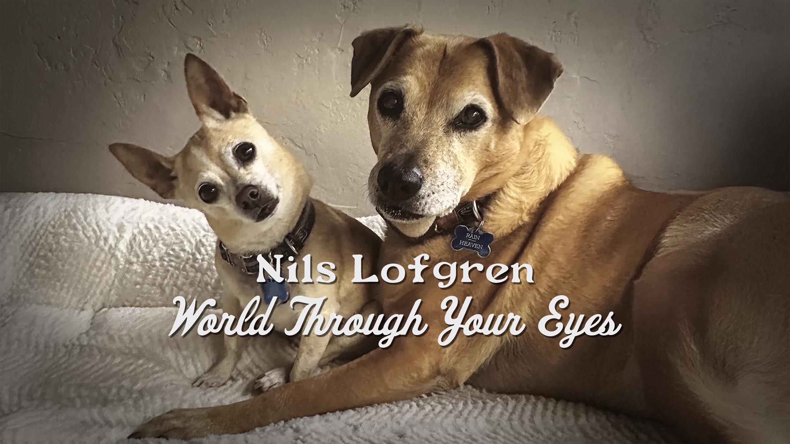 Nils Lofgren World Through Your Eyes music video